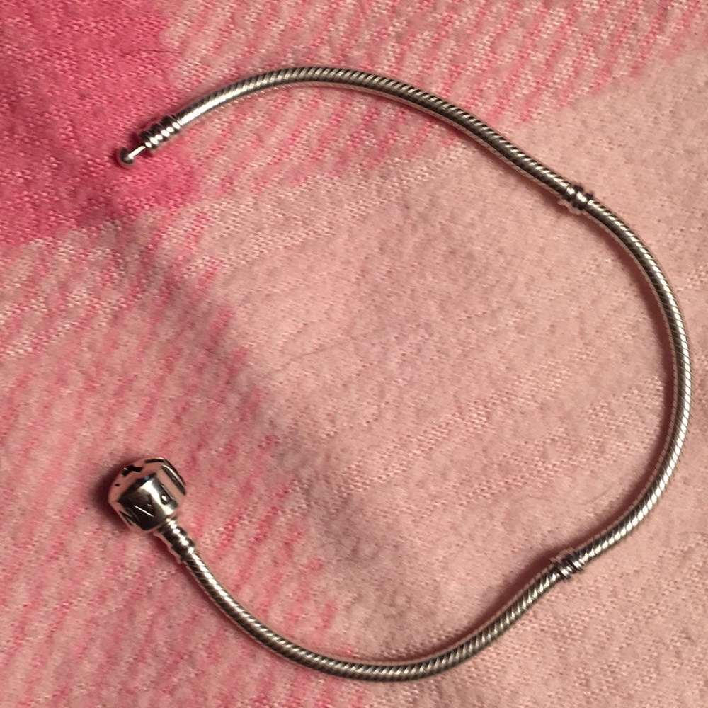 Pandora Snake Charm Bracelet